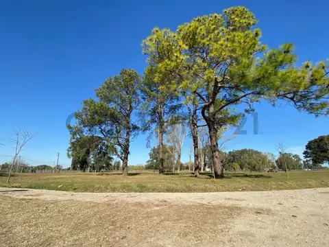 Terreno en Venta de 889,0 m2