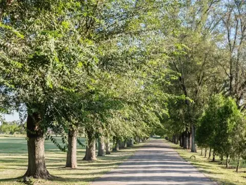 Terreno en Venta de 1200,0 m2