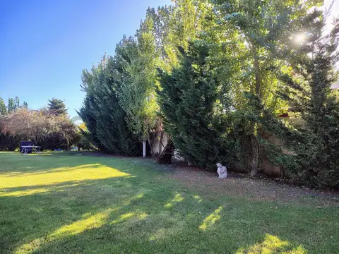 Terreno en Venta de 598,0 m2