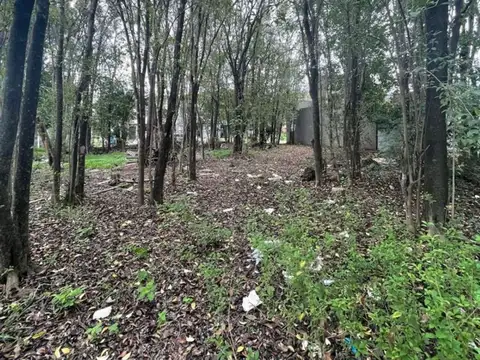 Ruta Provincial E53 100