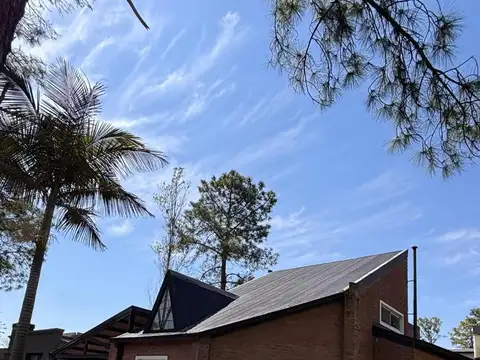 Los Olivos 100