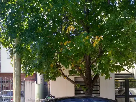 Monseñor De Andrea 845