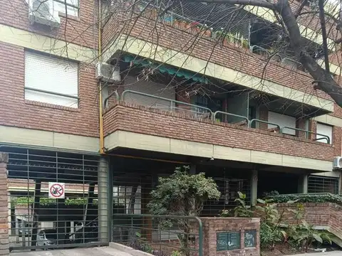 Diego palma 100