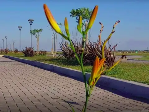 Terreno en Venta en Tristan Suarez, USD 63.000