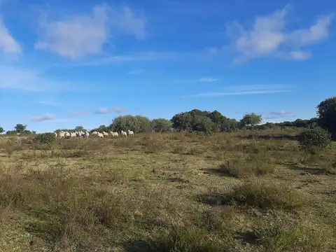 Quinta en Venta en Aigua, USD 210.000