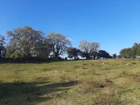 ruta12