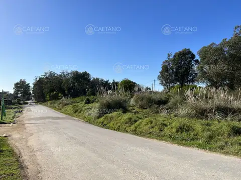 Terreno en Venta de 501,0 m2