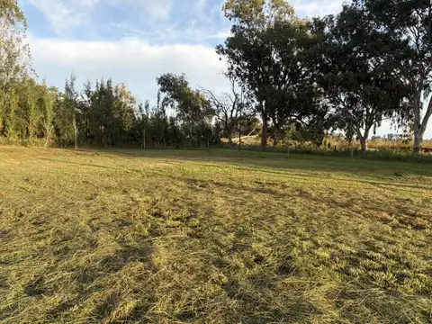 Terreno en Venta 43  mts Fondo