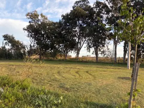 Lote en los Pinos 3. Piñeiro