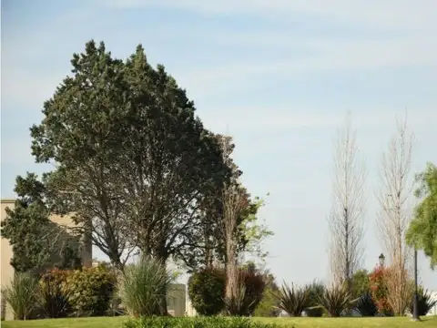 Terreno en Venta de 630,0 m2