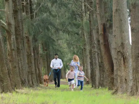 Lote En Venta, La Estela, Pilar