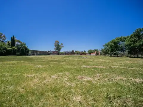 Terreno en Venta 145  mts Fondo