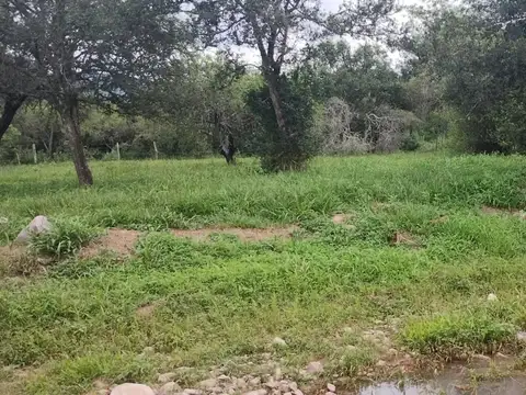 Ruta 9