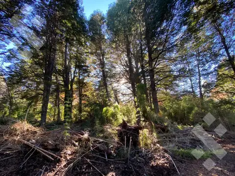 Terreno en Venta en San Martin de los Andes, Lácar