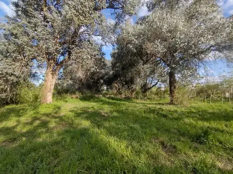 Hectáreas en Venta Ideal diversos rubros, El Pato