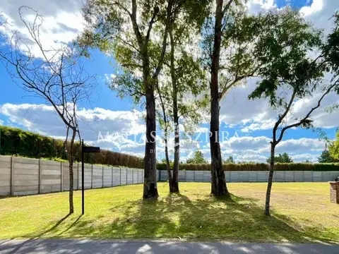 LOTE EN VENTA LA CESARINA