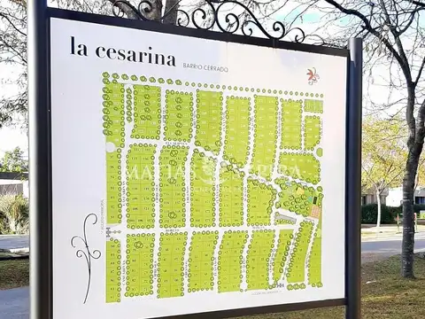 LOTE EN VENTA LA CESARINA