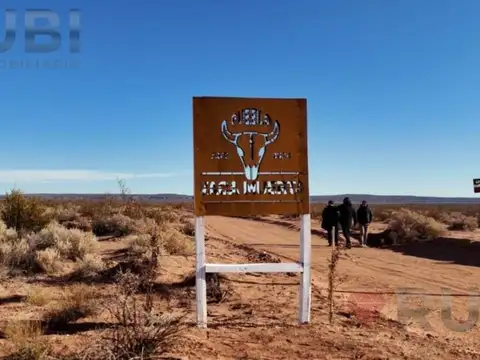 1 HECTAREA EN PUEBLO VACA NEUQUÉN