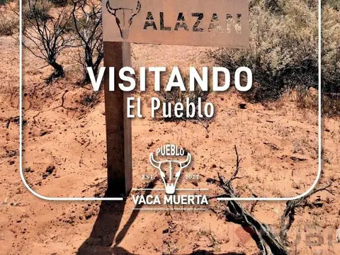 Terreno en Venta en Senillosa, USD 12.000