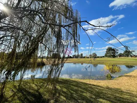 Pilar Golf 100