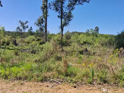Terreno en Venta 155  mts Frente
