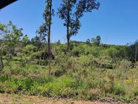 Terreno en Venta de 43600,0 m2