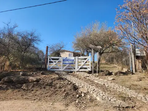 Nido de Zorzales 100