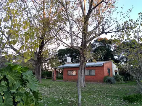 Baradero, Negocio especial