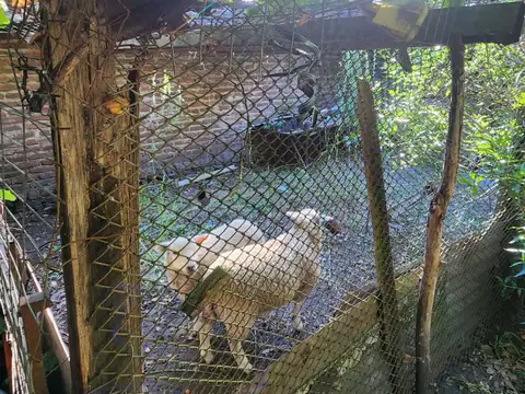 Casa en Venta con 4 cocheras