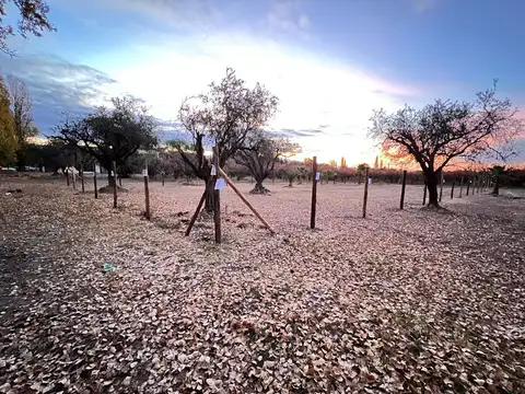 José María Videla 1300