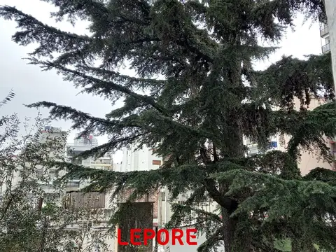 Departamento en Venta al Noreste