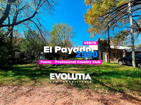 Terreno en venta en Funes