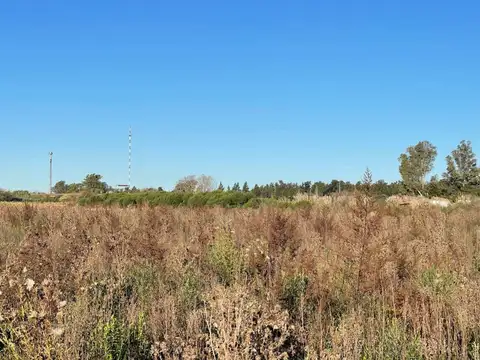 Terreno en Venta de 119203,0 m2