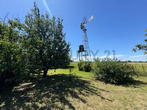 Alquiler Campo 5 hectareas Mar del Plata