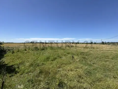 Campo en Alquiler en Mar del Plata, Partido de General Pueyrredón