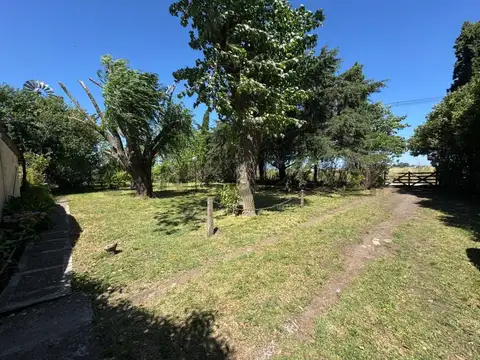 Alquiler Campo 5 hectareas Mar del Plata