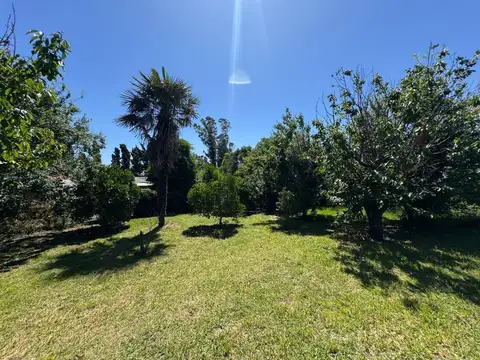 Alquiler Campo 5 hectareas Mar del Plata