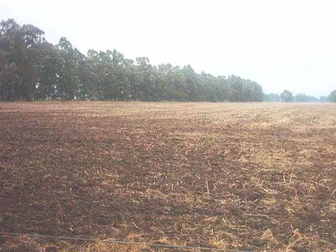 Campo en venta Mercedes