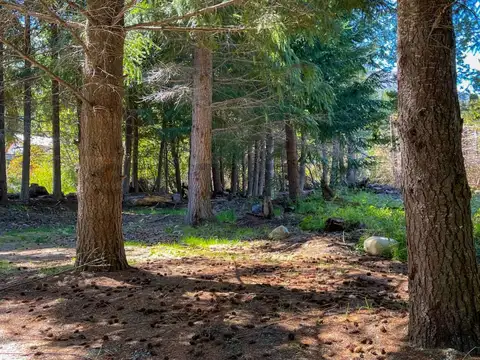 Los Robles 160 - UF 4 , Piso 0