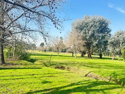 Antártida Argentina  al 500