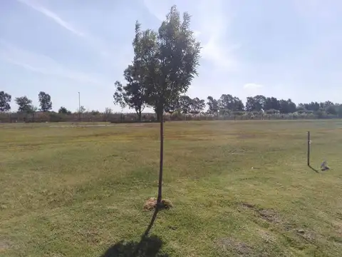 Terreno en Venta en Fincas de San Vicente, USD 15.000