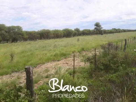 Campo  en Venta en Nueva Galia, Gobernador Dupuy, San Luis