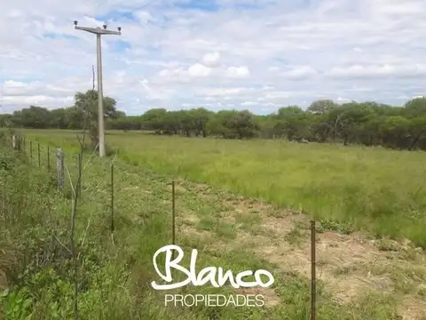 NUEVA GALIA - SAN LUIS 100