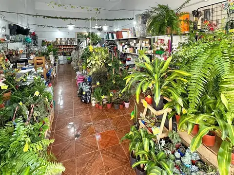 INDEPENDENCIA  al 3700 100