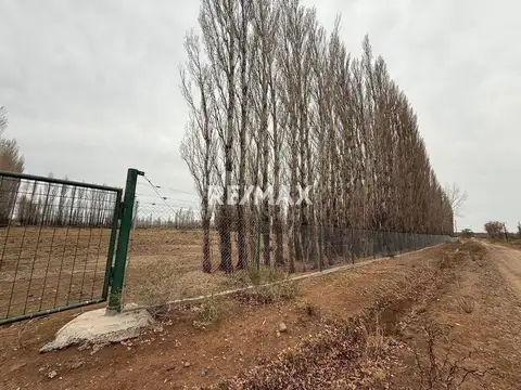 Venta Chacra 10 hectáreas -  China muerta