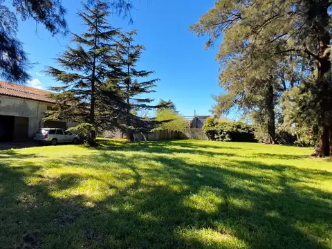 VENTA GALPON CON TERRENO 2613 M2 PARQUE PALERMO