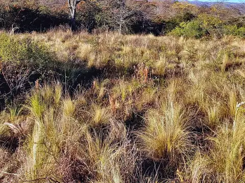 Terreno en Venta de 625,0 m2