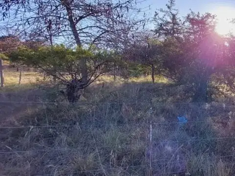 Terreno en Venta en Santa Rosa de Calamuchita, USD 12.500