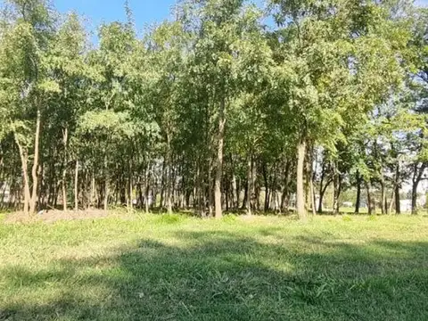 Terreno en Venta en Everlinks Golf & Country Club, USD 20.000