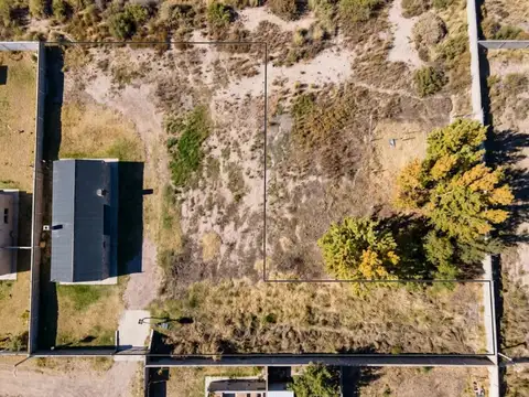 Terreno en Venta en Rivadavia, Mendoza